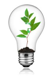 Gree Ideas Lightbulb Image